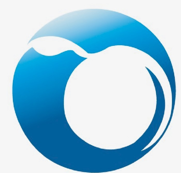 NANJING HENGRUN HONGSU IMP.& EXP. CO., LTD. logo